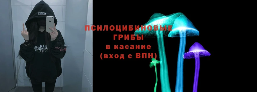 Галлюциногенные грибы Magic Shrooms  Нижний Ломов 